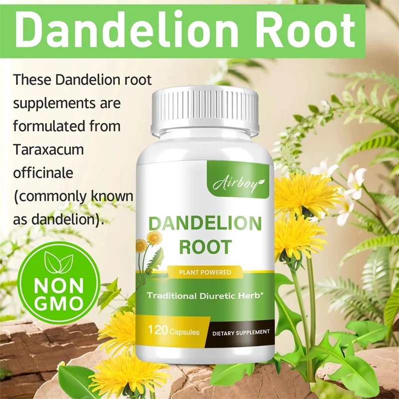 Dandelion Root Capsules - Pros - огляд і ціна Home Bathroom Urinal