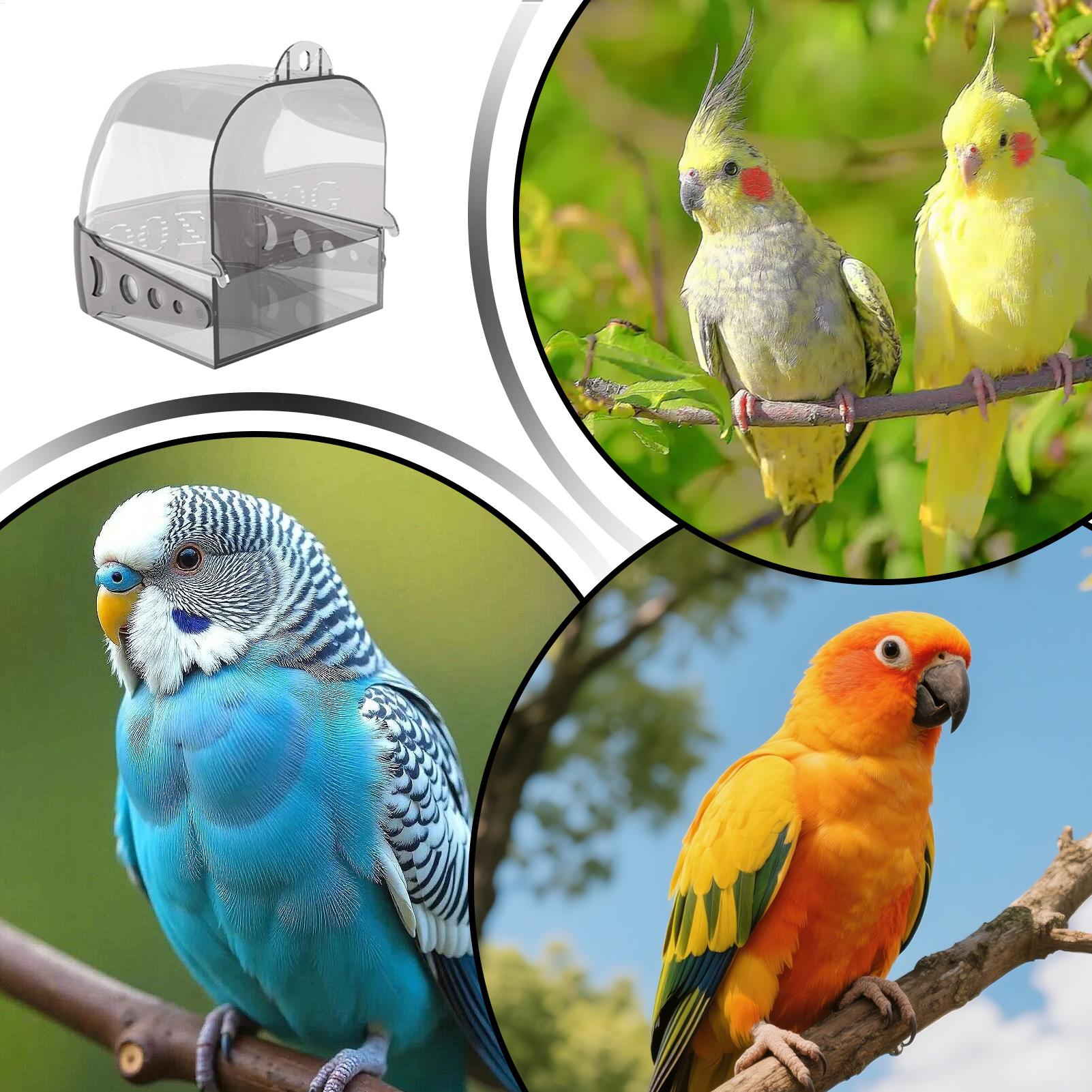 Parakeet Bath Hangable Detacha - огляд і ціна Home Bath
